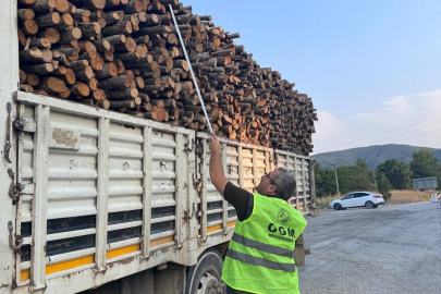 Orman Ürünleri Denetimleri ve Sonuçları