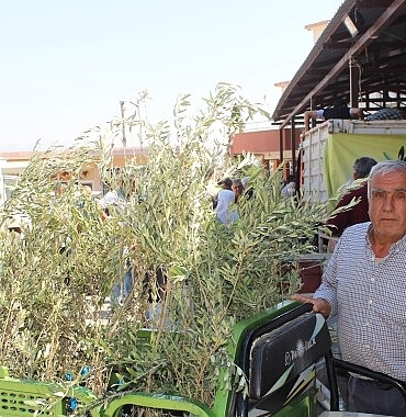 buyuksehirden-19-ilceye-40-bin-zeytin-fidani-destegi-analitik-bir-degerlendirme-QOW55Dvd.jpg