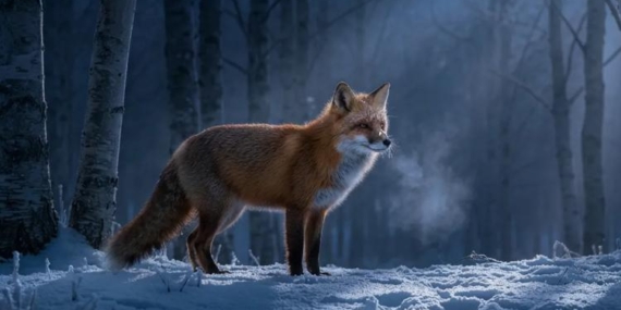 Nano Banana Pro: Gerçek Zamanlı Görsel Devrimi