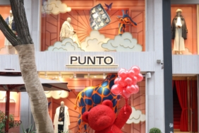 WhatsApp Image 2026-02-12 at 15.49.37