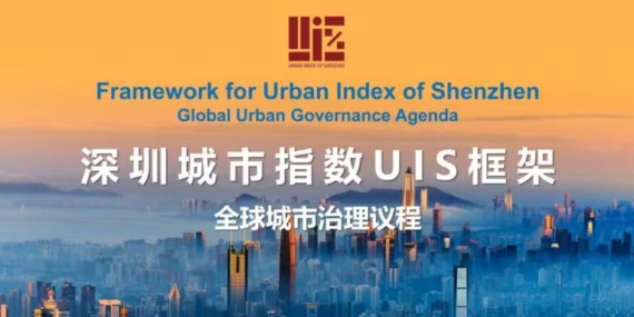 WhatsApp Image 2026-02-12 at 20.12.36