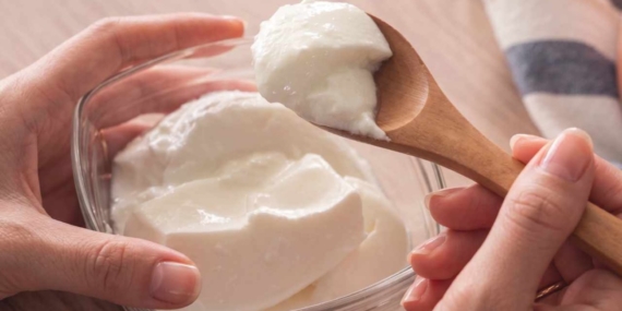 Beslenme Uzmanları En Faydalı Yoğurt Türünün Probiyotik Yoğurt Olduğunu Açıkladı