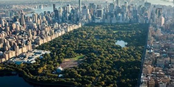 New York Central Park’ta Cinsel Saldırıya Uğrayan Kadın Hastaneye Kaldırıldı