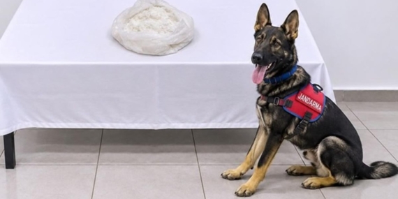 Van’da Otobüste 1 Kilo Metamfetaminle Yakalanan Yolcu Tutuklandı